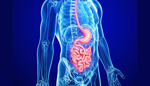Gastroenterology
